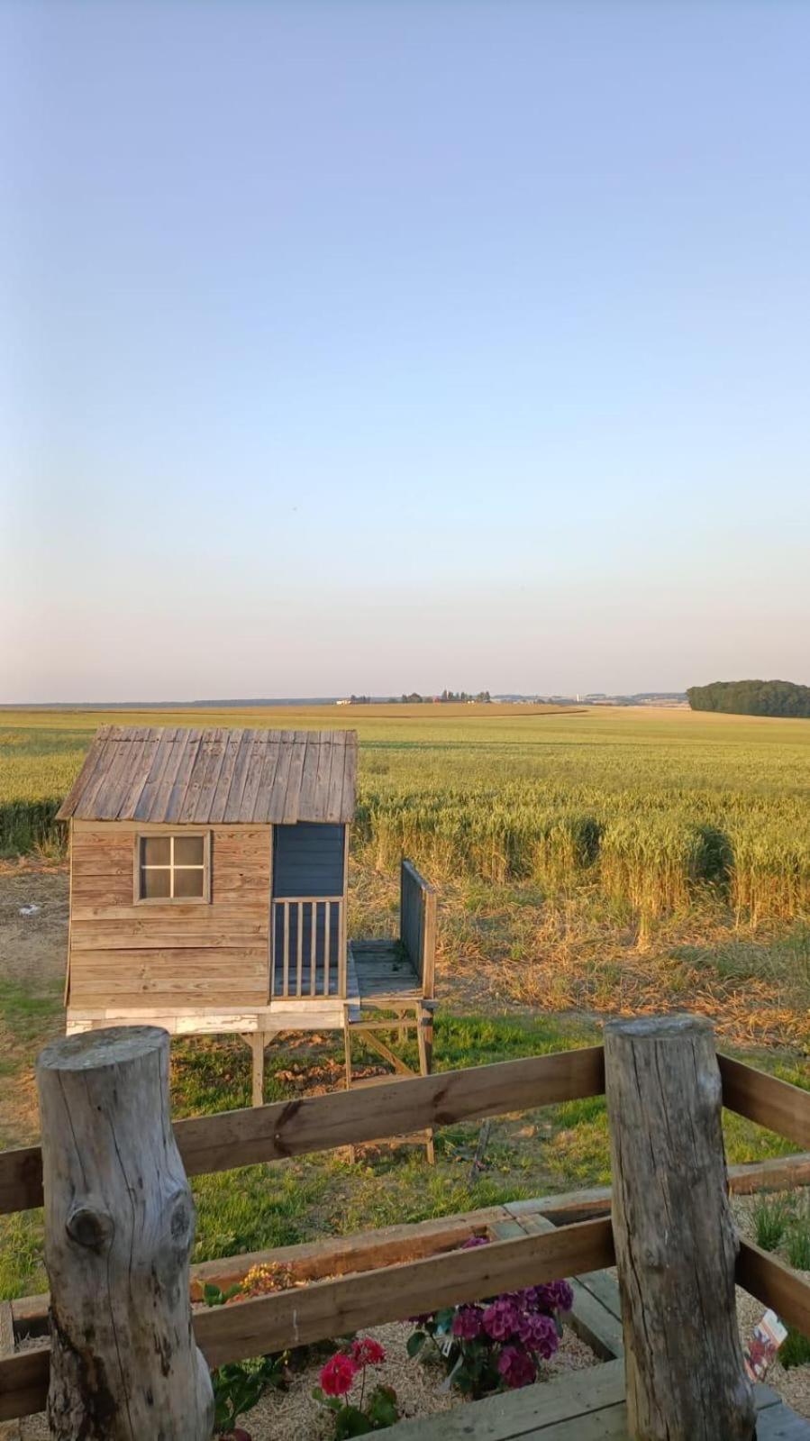 Tiny House Guest House Digny Ngoại thất bức ảnh